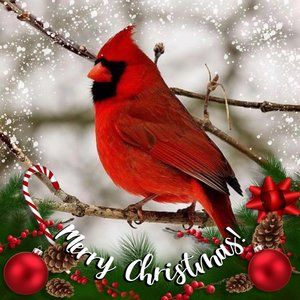 Meet your Posher, Katina